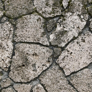 レールから外れた人生を歩きたいなら